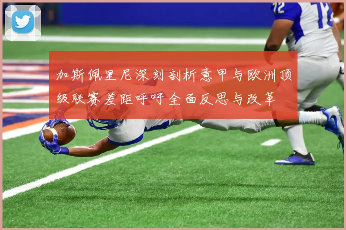 加斯佩里尼深刻剖析意甲与欧洲顶级联赛差距呼吁全面反思与改革